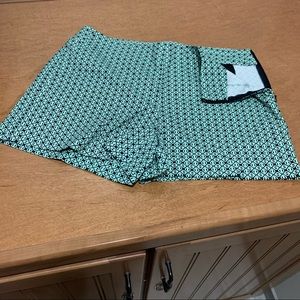 Banana Republic Mint/Navy Side Zip Shorts.